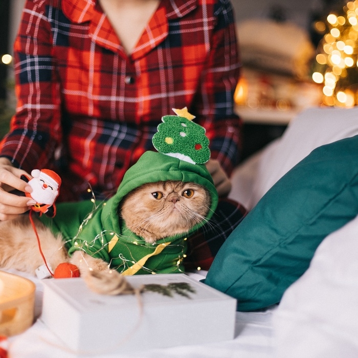 Костюм для животных Костюм для животных "Ёлка", размер M, зелёный