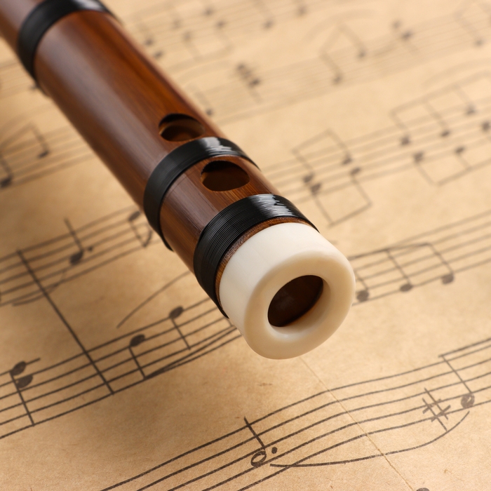 Флейта Music Life 48 см, бамбук, тональность E Флейта Music Life 48 см, бамбук, тональность E