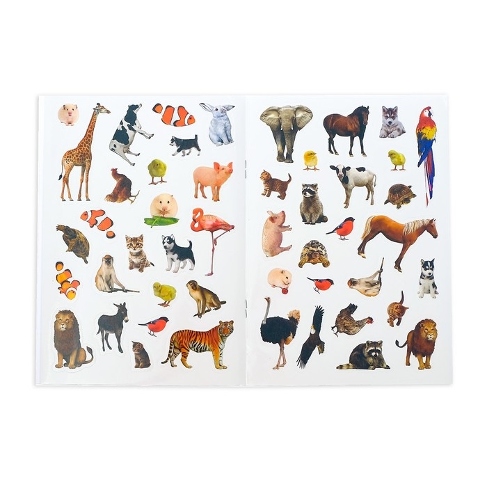 Книжка с наклейками «Счёт», 12 стр. Книжка с наклейками «Счёт», 12 стр.