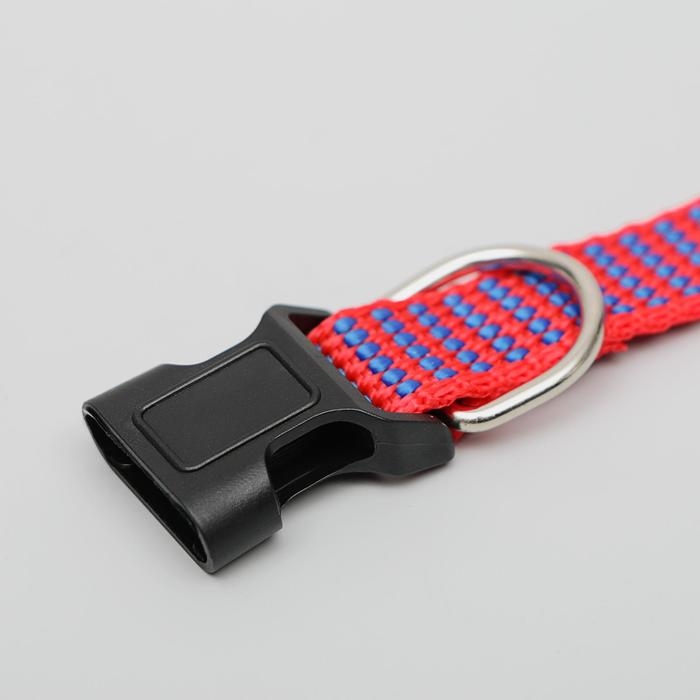 Ошейник рифленый, 40 х 1,5 см, красно-синий Ошейник рифленый, 40 х 1,5 см, красно-синий