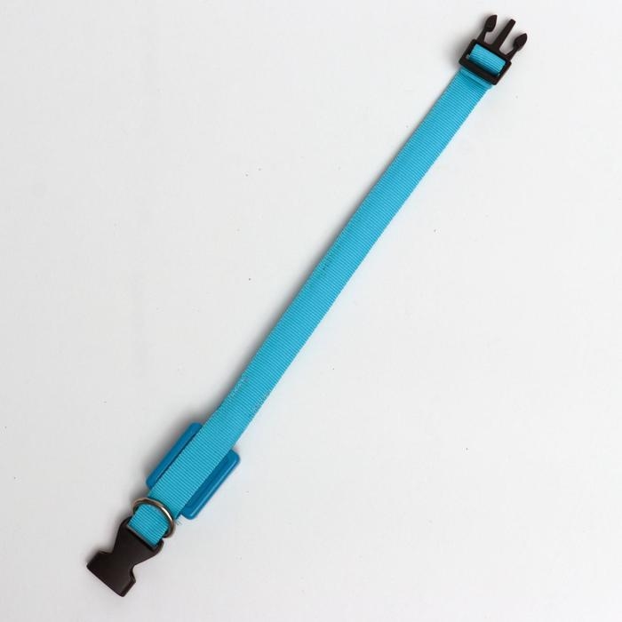 Ошейник светящийся узкий для небольших собак, 26 х 1,5 см, голубой Ошейник светящийся узкий для небольших собак, 26 х 1,5 см, голубой