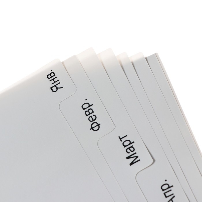 Набор разделителей листов А4 Office-2000, по месяцам ЯНВ-ДЕК, 12 листов, серые, пластик 120 мкм Набор разделителей листов А4 Office-2000, по месяцам ЯНВ-ДЕК, 12 листов, серые, пластик 120 мкм