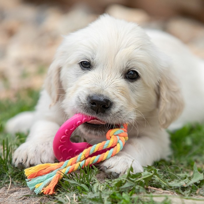 Игрушка жевательная с канатом Игрушка жевательная с канатом "Гиря", розовая