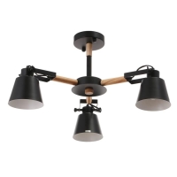 Люстра 1054/3BK E27 60Вт черный 60х60х50 см BayerLux