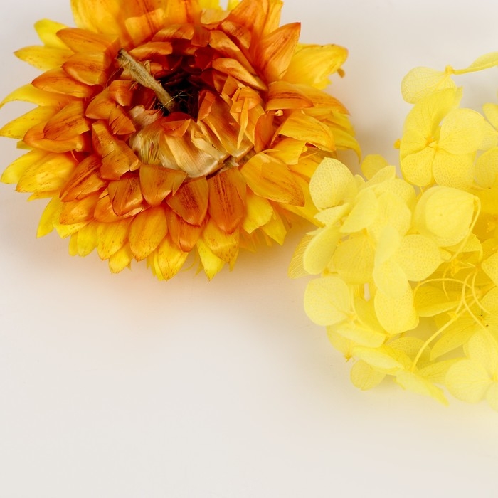 Набор сухоцветов «Летнее поле» Набор сухоцветов «Летнее поле»