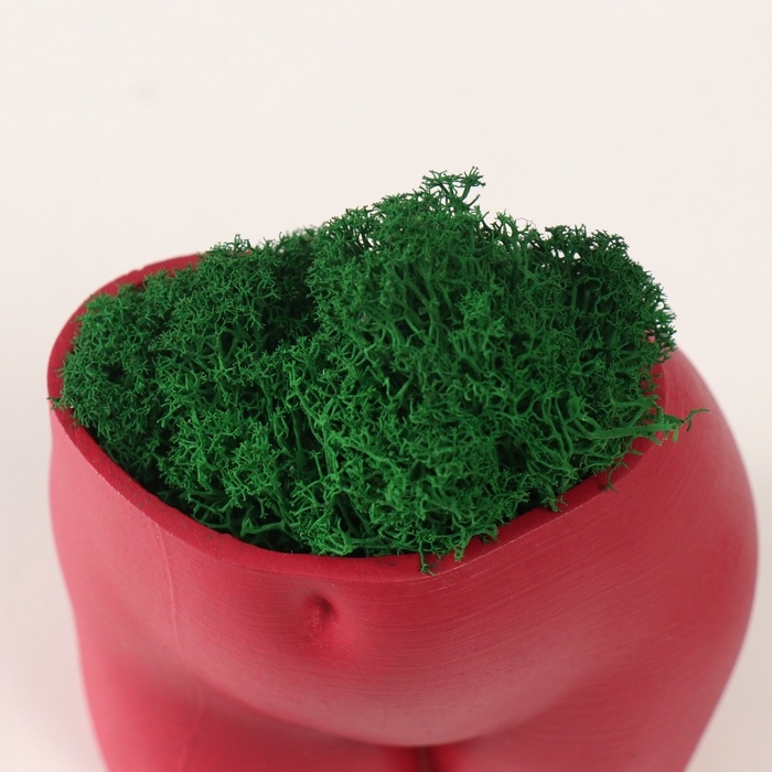 Кашпо бетонное  Кашпо бетонное "Невинный вид" высота 6,5см, ширина 8,5см винный со мхом (мох зелен. стабилиз 1041207