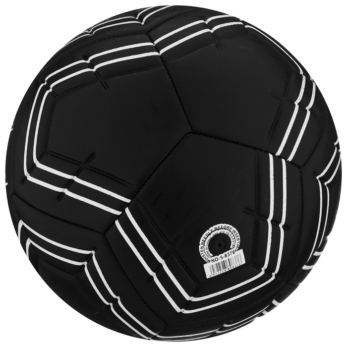 Мяч футбольный MINSA, TPE, машинная сшивка, 12 панелей, р. 5 Мяч футбольный MINSA, TPE, машинная сшивка, 12 панелей, р. 5