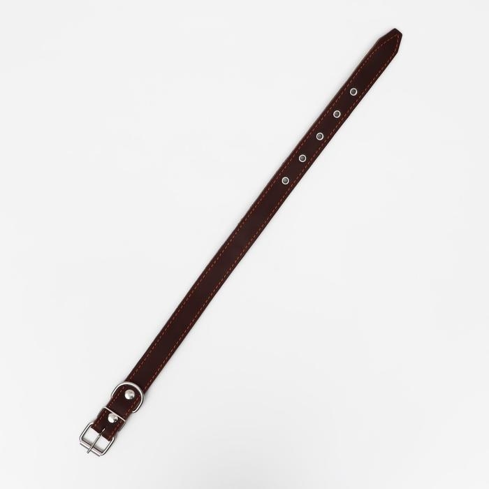 Ошейник кожаный на синтепоне, 65 х 3 см, ОШ 40-55 см, коричневый Ошейник кожаный на синтепоне, 65 х 3 см, ОШ 40-55 см, коричневый