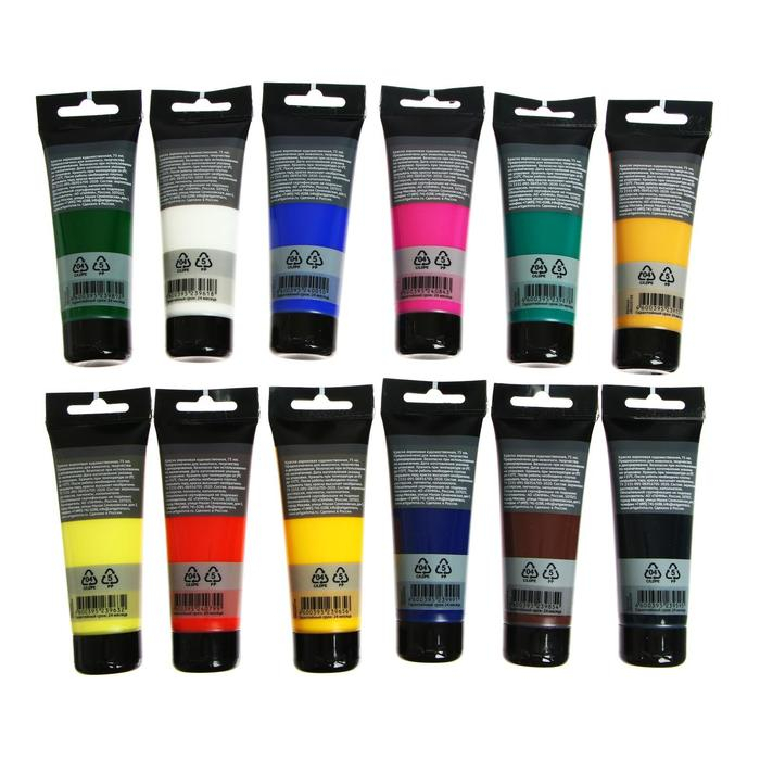 Краска акриловая в тубе, набор 12 цветов х 75 мл, Гамма Краска акриловая в тубе, набор 12 цветов х 75 мл, Гамма "Студия", морозостойкая, в картонной коробке, 140820202