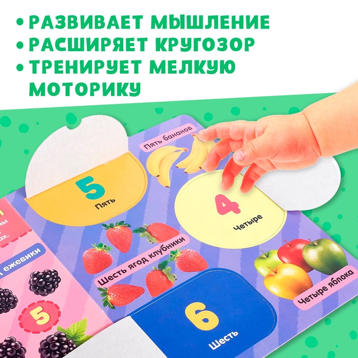 Книжка картонная с окошками «Цифры», 10 стр. Книжка картонная с окошками «Цифры», 10 стр.