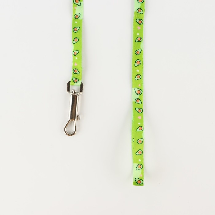 Комплект «Авокадо», шлейка 24-36 см, поводок 120х1 см