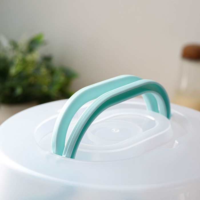 Тортовница с крышкой, 29&times;24 см, 24 ячейки, переносная, цвет МИКС