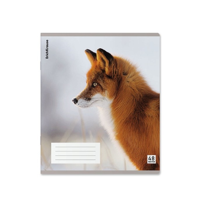 Тетрадь В5, 48 листов в клетку, ErichKrause Тетрадь В5, 48 листов в клетку, ErichKrause "Лисы", пластиковая обложка, блок офсет 100% белизна, МИКС