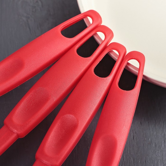 Набор кухонных принадлежностей Доляна &laquo;Радуга&raquo;, 30 см, 4 предмета, цвет красный