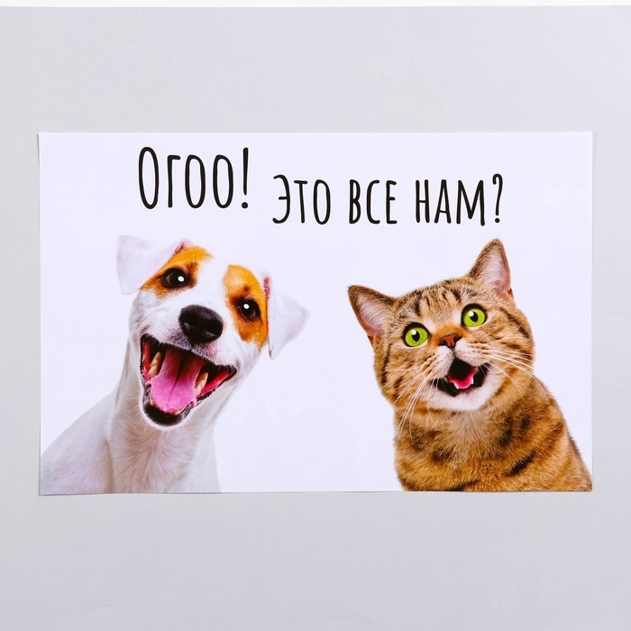 Коврик под миску  Коврик под миску "Пижон" 43 х 28 см "Ого! Это всё нам?"