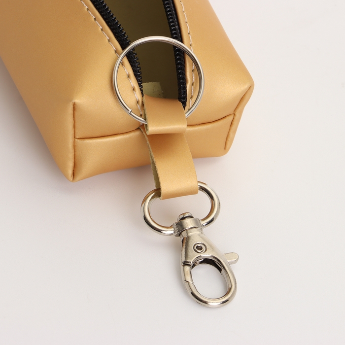 Ключница на молнии, длина 16 см, кольцо, карабин, цвет бежевый Ключница на молнии, длина 16 см, кольцо, карабин, цвет бежевый