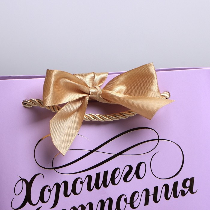 Пакет подарочный, упаковка, «Настроение», 14 х 17 х 7 см Пакет подарочный, упаковка, «Настроение», 14 х 17 х 7 см