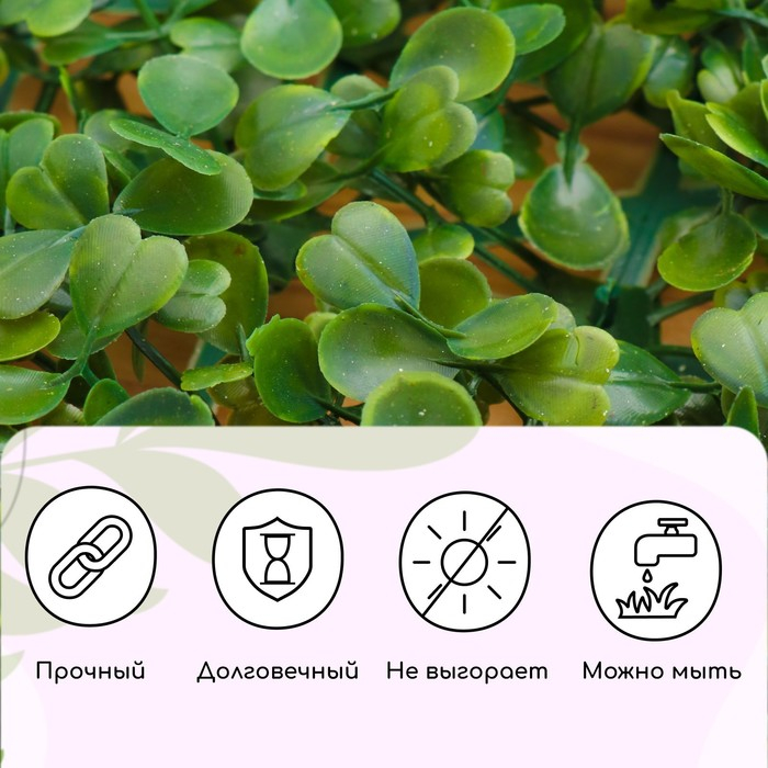 Декоративная панель, 60 × 40 см, «Мокрица», Greengo Декоративная панель, 60 × 40 см, «Мокрица», Greengo