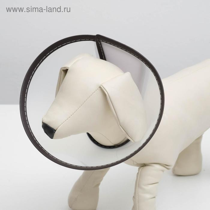 Ветеринарный воротник  Ветеринарный воротник "Пижон Premium" №6, обхват шеи 32 см, высота 17,5 см