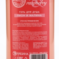 Подарочный набор косметики Peony raspberry, гель для душа и пена для ванны 2 х 295 мл, FLORAL & BEAUTY by URAL LAB