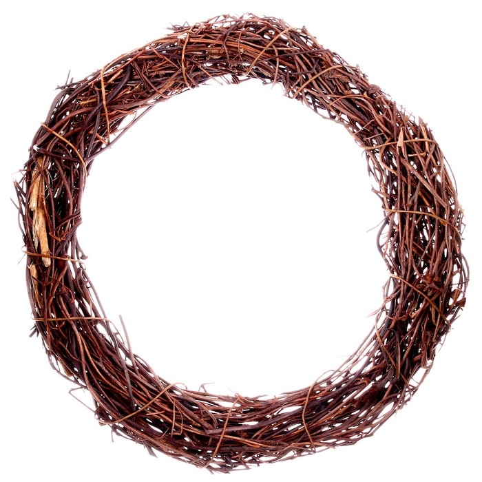 Папоротник сухой «Венок» — 15 см