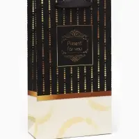 Пакет подарочный ламинированный под две бутылки Present, 35&times;20&times;9 см