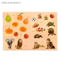 Книга с наклейками «Счёт», 12 стр. Книга с наклейками «Счёт», 12 стр.