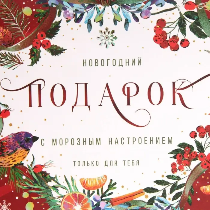 Пакет подарочный новогодний ламинированный «С морозным настроением», MS 18 х 23 х 10 см