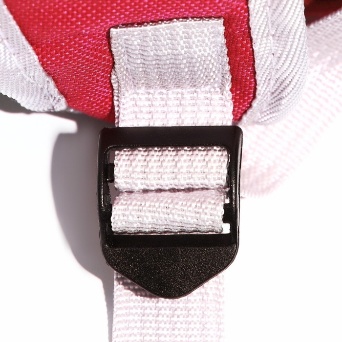 Рюкзак для переноски кошек и собак, прозрачный, 31 х 28 х 42 см, красный Рюкзак для переноски кошек и собак, прозрачный, 31 х 28 х 42 см, красный