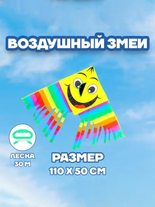 Воздушный змей Funny toys &laquo;Смайл&raquo;