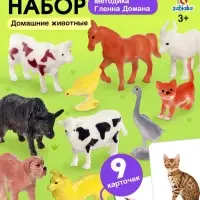 Развивающий набор &laquo;Домашние животные&raquo;, по методике Домана, 9 карточек, 3-6 лет