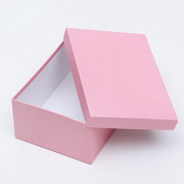 Набор коробок 10 в 1 Набор коробок 10 в 1 "Пантон 200", 30,5 х 20 х 13 - 12 х 6,5 х 4 см