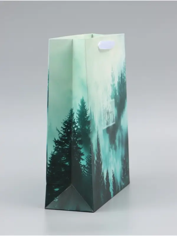 Пакет подарочный вертикальный &laquo;Подарок&raquo;, 26&times;32&times;12 см