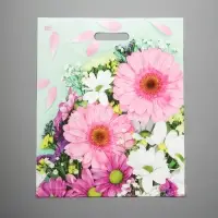 Пакет &laquo;Нежные герберы&raquo;, полиэтиленовый с вырубной ручкой, 38&times;45 см, 60 мкм