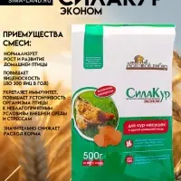 Премикс &laquo;Сила кур Эконом&raquo;, пакет, 500 г
