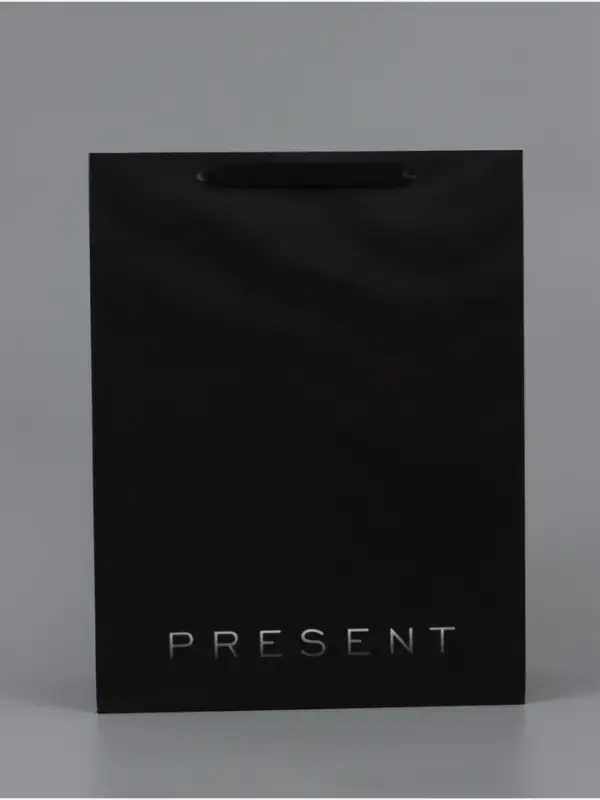 Пакет ламинированный вертикальный Present, 33&times;42&times;10 см