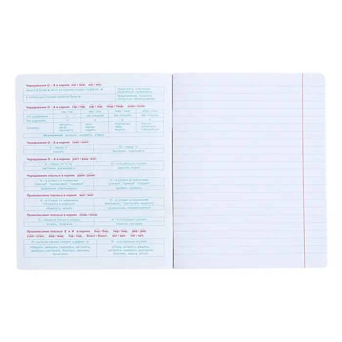 Тетрадь предметная "Неоновые истории", 48 листов в линейку, "Русский язык", обложка мелованный картон, ВД-лак, неон, блок офсет