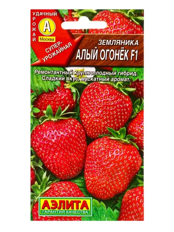 Семена Земляника &laquo;Алый огонек&raquo;, F1, &laquo;Агрофирма АЭЛИТА&raquo;, ремонтантная, крупноплодная, 10 шт.