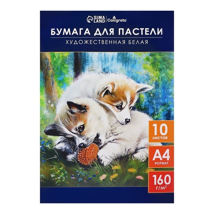 Бумага для пастели А4, 10 листов  Бумага для пастели А4, 10 листов "Щенки", блок 160 г/м2, в папке
