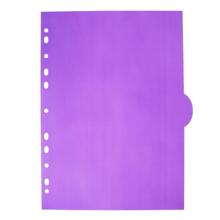 Разделитель листов A4 (300 x 225 мм) цветовой, 5 листов, Разделитель листов A4 (300 x 225 мм) цветовой, 5 листов, "deVENTE. Marandi" полипропилен 140 мкм, индивидуальная упаковка