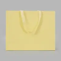 Пакет подарочный, ламинированный, горизонтальный, &laquo;Молочный&raquo;, 40&times;32&times;13