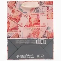 Пакет подарочный &laquo;Деньги&raquo;, 12&times;15&times;5.5 см
