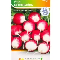 Семена Редис "Белокрайка" 2 г Семена Редис "Белокрайка" 2 г
