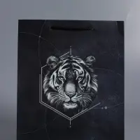 Пакет подарочный "Сила характера" ламинированный 26 х 12 х 32 см