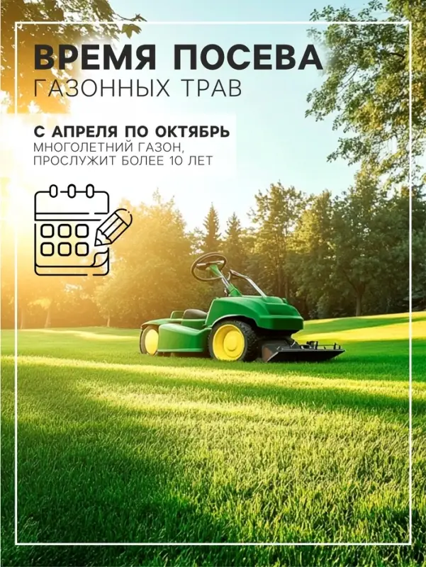 Газонная травосмесь &laquo;Детский&raquo; 1 кг