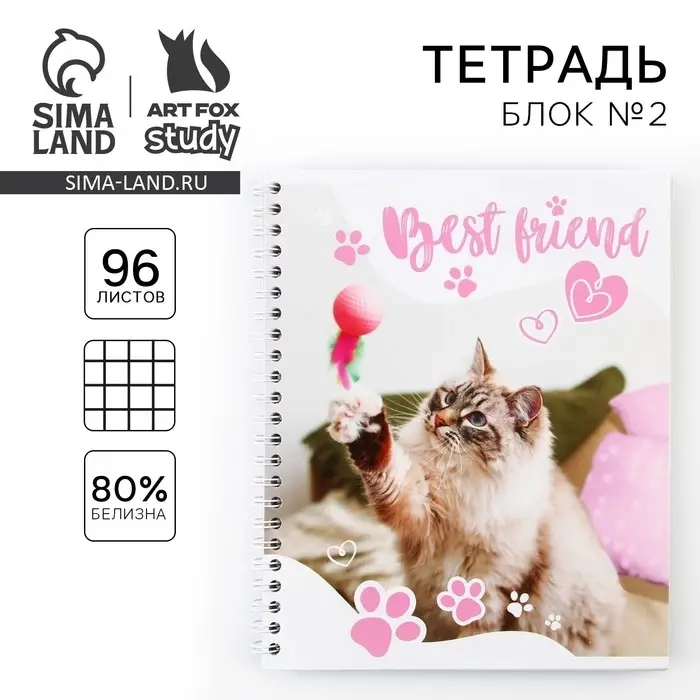 Тетрадь в клетку, 96 л., А5, на спирали, блок №2 &laquo;Котик&raquo;