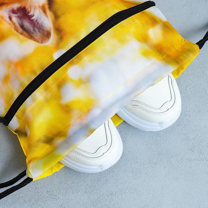 Мешок для обуви «Забавный корги» 2 секции, 30×40 см Мешок для обуви «Забавный корги» 2 секции, 30×40 см