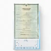 Папка для свидетельства о рождении «Бабочка», А5 Папка для свидетельства о рождении «Бабочка», А5