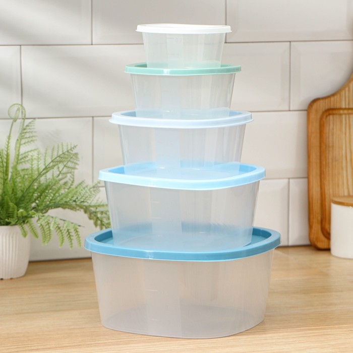 Набор пищевых контейнеров «BioFresh», 5 шт: 0,23 л, 0,5 л, 0,9 л, 1,55 л, 2,65 л, прозрачные, крышки микс