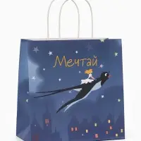 Пакет подарочный &laquo;Мечтай&raquo;, Союзмультфильм, 22&times;22&times;11 см